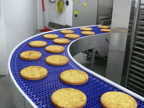 Belt Conveyor In Food Industry